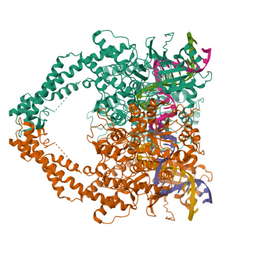 RCSB PDB - 6ZY5: Cryo-EM structure of the Human topoisomerase II alpha ...
