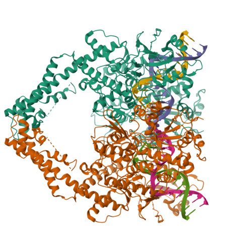 RCSB PDB - 6ZY6: Cryo-EM structure of the Human