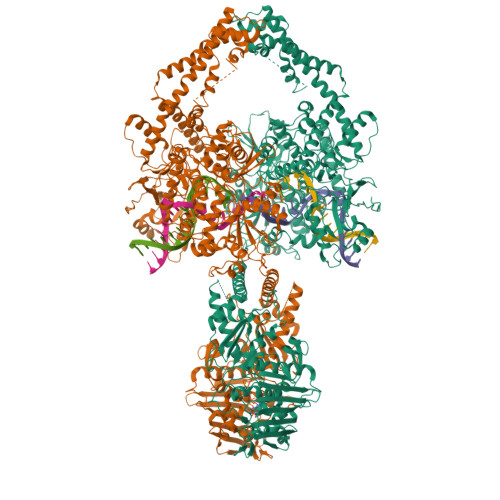 Rcsb Pdb 6zy8 Cryo Em Structure Of The Entire Human Topoisomerase Ii