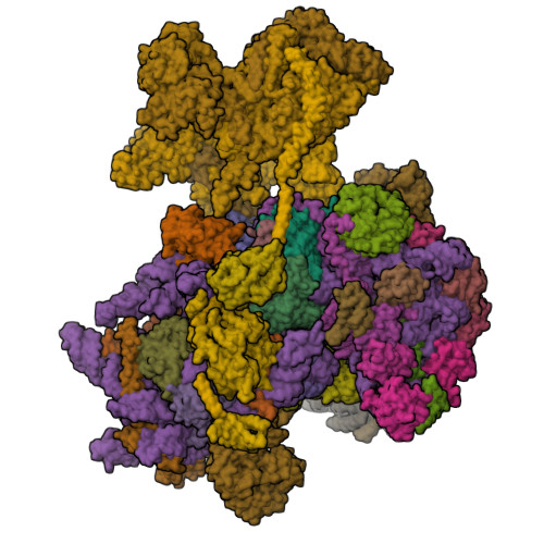 RCSB PDB - 7A09: Structure of a human ABCE1-bound 43S pre-initiation ...