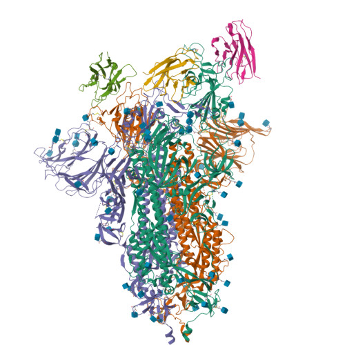 RCSB PDB - 7A25: Cryo-EM structure of the SARS-CoV-2 spike protein ...
