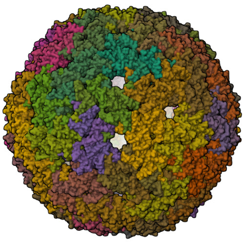 RCSB PDB - 7A4J: Aquifex aeolicus lumazine synthase-derived