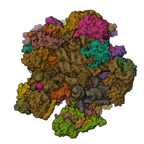 RCSB PDB - 7A5J: Structure of the split human mitoribosomal large ...