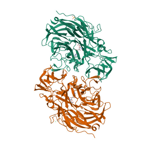 RCSB PDB - 7A5X: Two copies of the catalytic domain of NanA