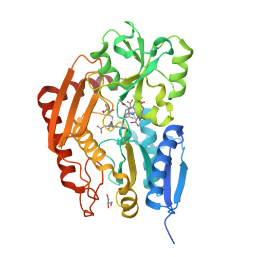 その他 Phreak-a-Bility o7r6kf1 RCSB PDB - 7AAK: Human porphobilinogen deaminase R173W mutant