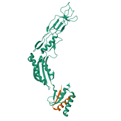 RCSB PDB - 7ACV: SLPL/HID (LMW SLP complex with HMW SLP interacting ...
