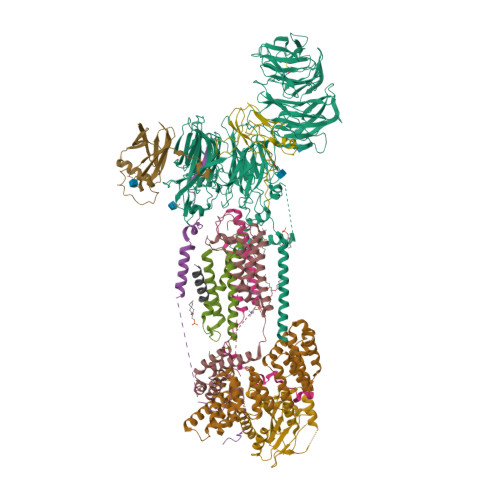 RCSB PDB - 7ADO: Cryo-EM structure of human ER membrane protein complex ...
