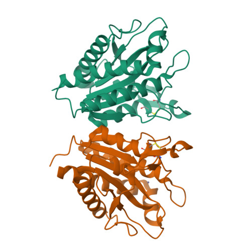 RCSB PDB - 7AGM: Crystal structure of the N-acetylmuramyl-L