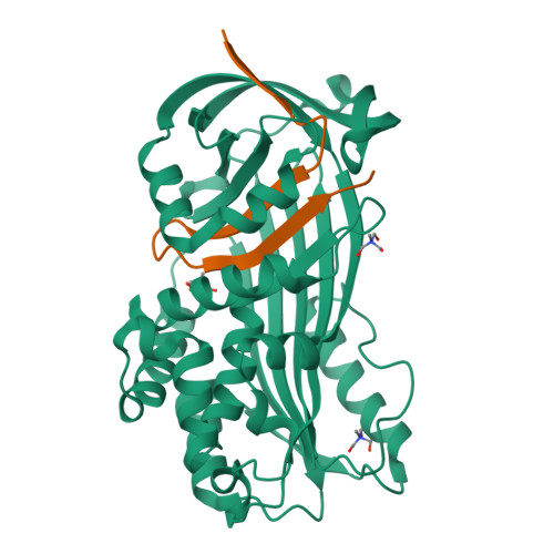 Ixodes Ricinus Structure RCSB PDB - 7AHP: Crystal structure of Ixodes ricinus serpin - Iripin-3