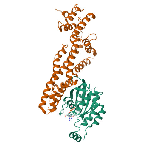 PDB 7AJK