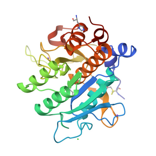 RCSB PDB - 7AM8: Crystal structure of Omniligase mutant W189F