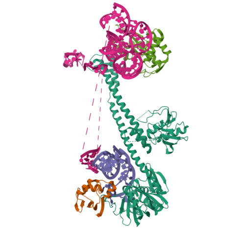 RCSB PDB - 7ASA: Bacillus Subtilis Ribosome-associated Quality Control ...