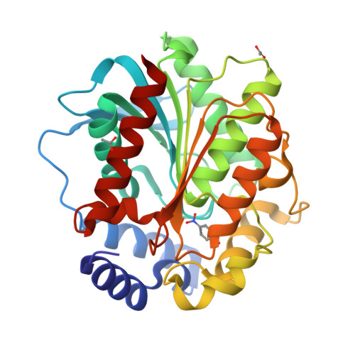 RCSB PDB - 7ATF: Structure of EstD11 in complex with p-Nitrophenol