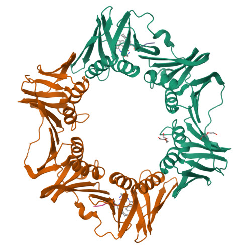 RCSB PDB - 7AZD: DNA polymerase sliding clamp from Escherichia coli ...