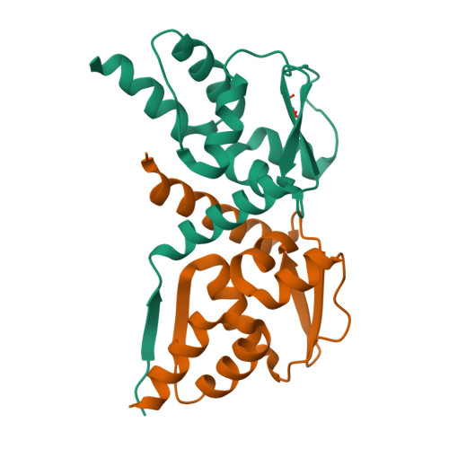 RCSB PDB - 7AZW: Crystal structure of the MIZ1-BTB-domain