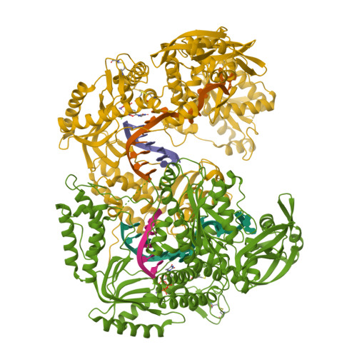 RCSB PDB - 7B0H: TgoT_6G12 Ternary complex