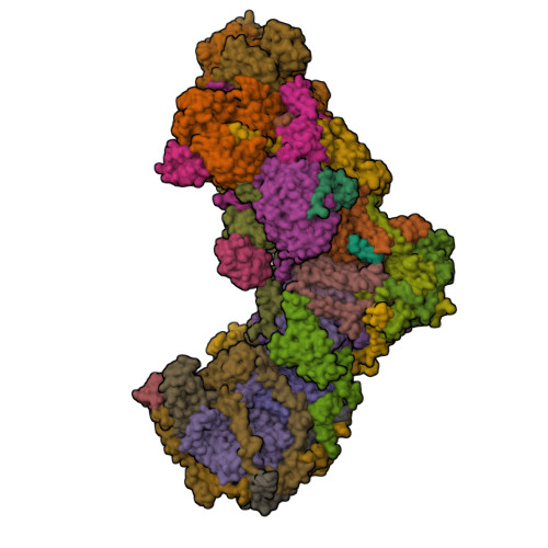 RCSB PDB - 7B0N: A 3.7-angstrom structure of Yarrowia lipolytica ...