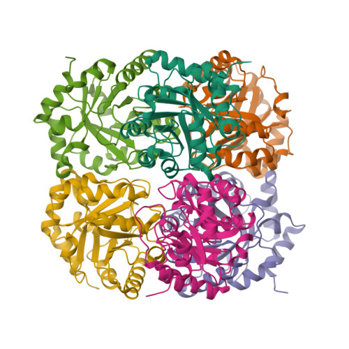 RCSB PDB - 7B1W: Crystal Structure Of Plastidial Ribulose Epimerase ...