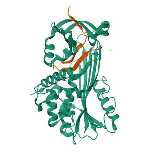Ixodes Ricinus Structure RCSB PDB - 7B2T: Crystal structure of Iripin-5 serpin from Ixodes ricinus