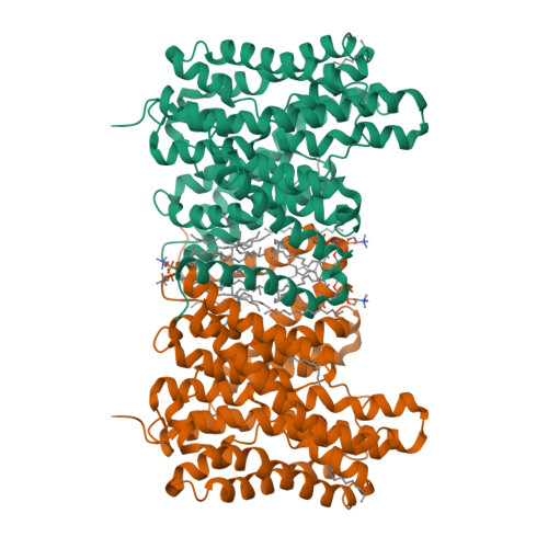 RCSB PDB - 7B4L: CryoEM structure of the human sodium proton exchanger NHA2