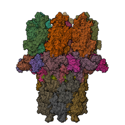 RCSB PDB - 7B5H: Cryo-EM Structure Of The Contractile Injection System ...