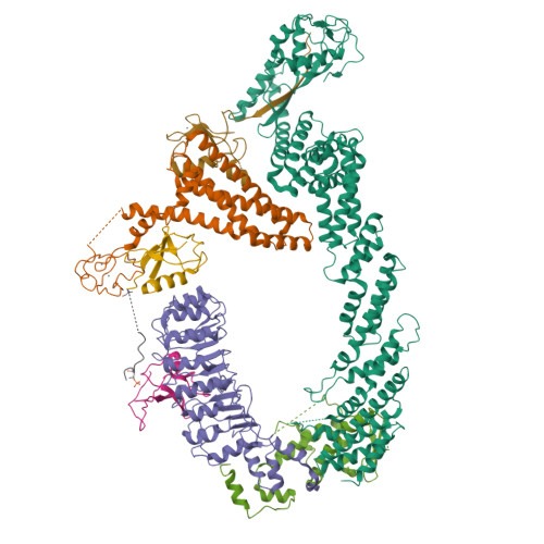 RCSB PDB - 7B5M: Ubiquitin Ligation To F-box Protein Substrates By SCF ...