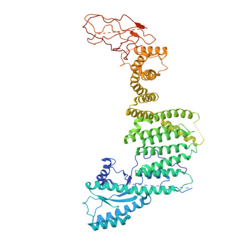 RCSB PDB - 7B6Z: TRAPPC11 Subunit (1-716)