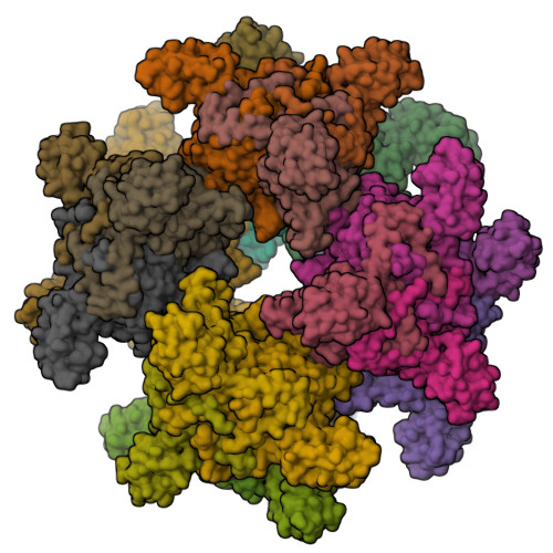 RCSB PDB - 7B9K: Cryo-EM structure of the dihydrolipoyl