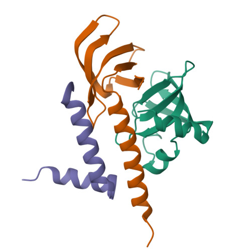 PDB 7BBL