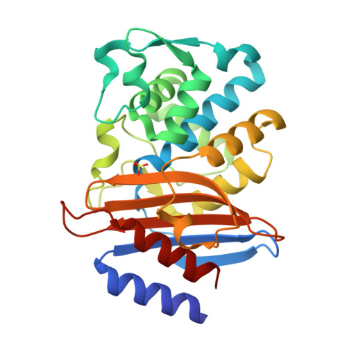 RCSB PDB - 7BH4: XFEL structure of apo CTX-M-15 after mixing for 0.7 ...