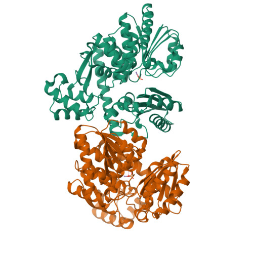 RCSB PDB - 7BIH: Crystal structure of RecJ-Cdc45 from ...