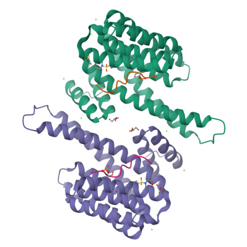 RCSB PDB - 7BJB: 14-3-3 Sigma With RelA/p65 Binding Site PS45 And ...