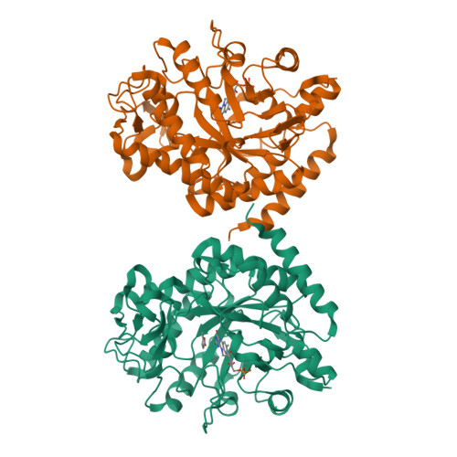 elboページ RCSB PDB - 7BOT: Human SIRT2 in complex with myristoyl