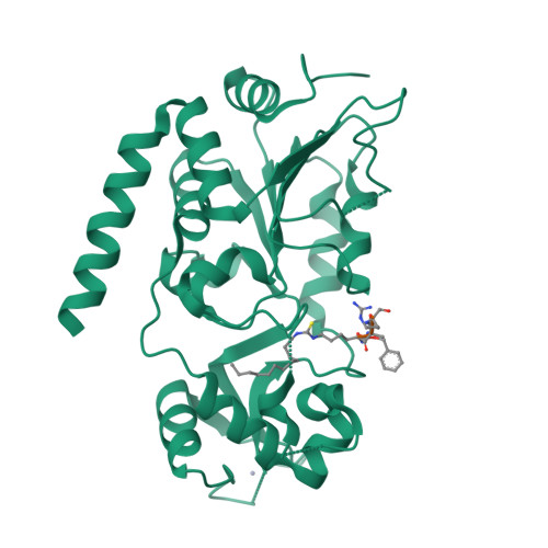 RCSB PDB - 7BOT: Human SIRT2 in complex with myristoyl