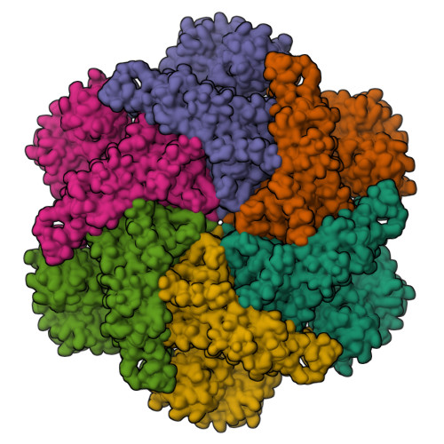 RCSB PDB - 7BPA: Human AAA+ ATPase VCP mutant - T76A, AMP-PNP-bound ...