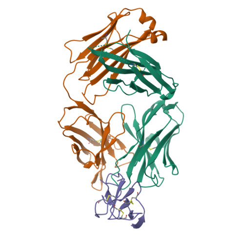 RCSB PDB - 7BSD: Complex structure of 1G5.3 Fab bound to ZIKV NS1c