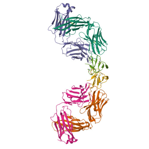  バード　2017 キウル 6jjk - Crystal structure of the DegP dodecamer with a