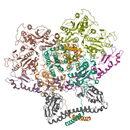 RCSB PDB - 7BTO: EcoR124I-ArdA in the Translocation State