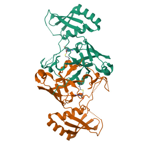 RCSB PDB - 7BTZ: Crystal structure of TrmO