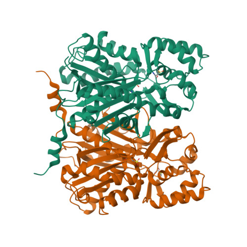 Glycine  Metabolon