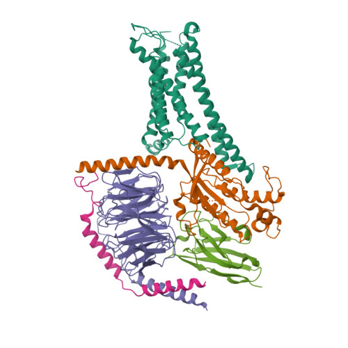 RCSB PDB - 7BW0: Active human TGR5 complex with a synthetic 