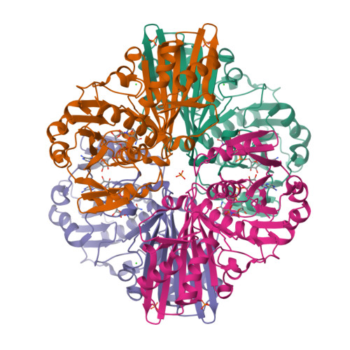 1,3-Bisphosphoglyceric acid - Wikipedia