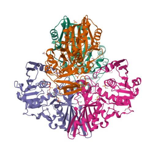 1,3-Bisphosphoglyceric acid - Wikipedia