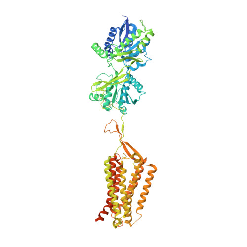 RCSB PDB - 7C7S: Cryo-EM structure of the CGP54626-bound human GABA(B ...