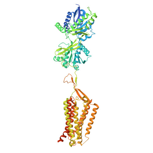 RCSB PDB - 7C7S: Cryo-EM structure of the CGP54626-bound human GABA(B ...