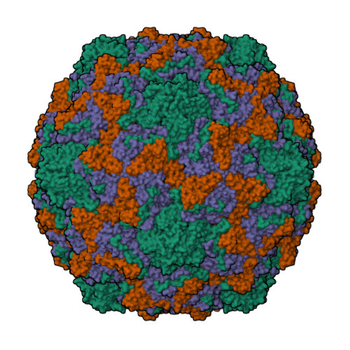 075と0612点まとめ RCSB PDB - 7C9Z: Coxsackievirus B1 F-particle