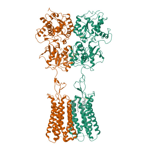 RCSB PDB - 7CA3: Cryo-EM structure of human GABA(B) receptor bound