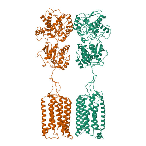 RCSB PDB   7CA5: Cryo EM Structure Of Human GABA(B) Receptor In Apo State