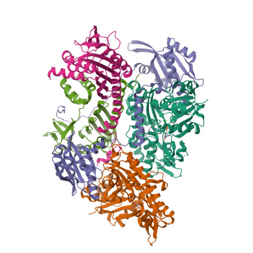 PDB 7CCC