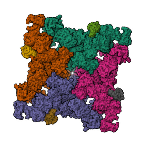 RCSB PDB - 7CF9: Structure of RyR1 (Ca2+/CHL)